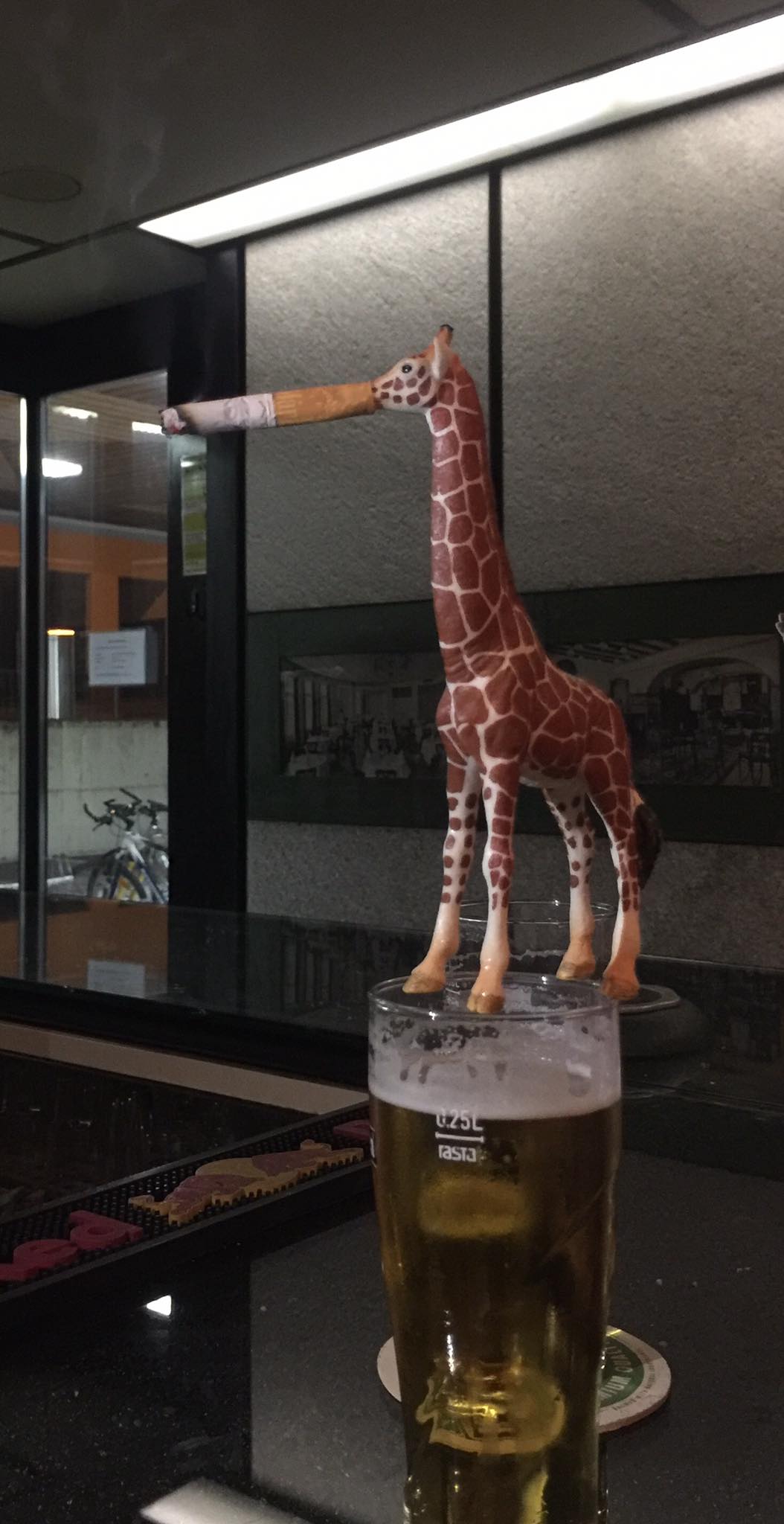 The Amazing Adventures of Mr Gee Raffe