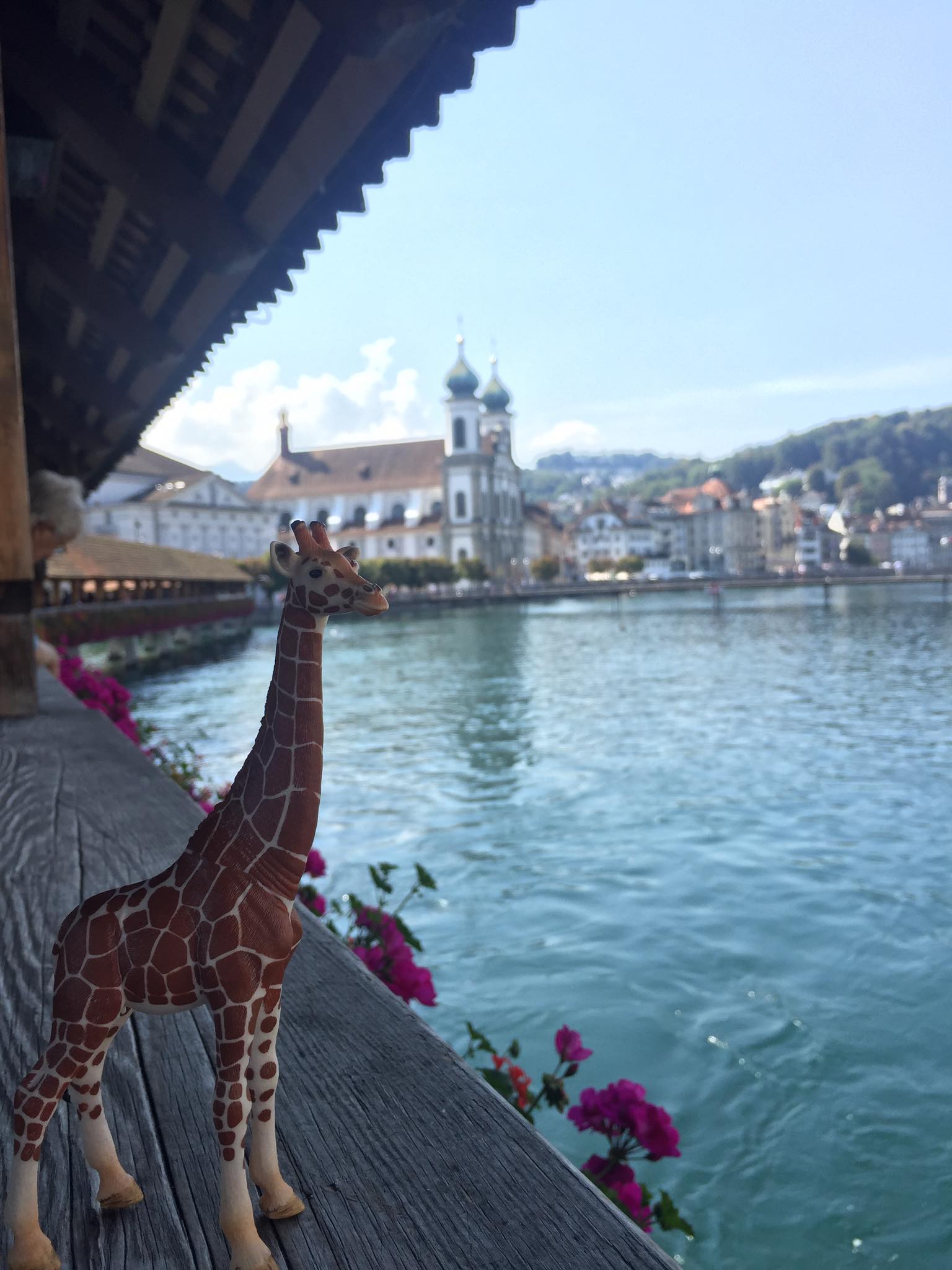 The Amazing Adventures of Mr Gee Raffe