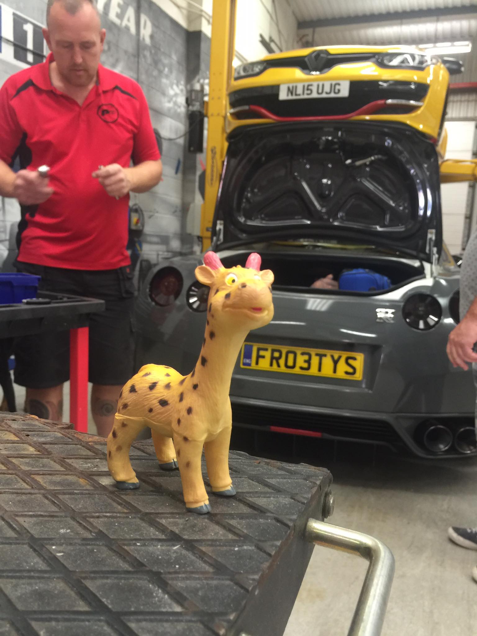 The Amazing Adventures of Mr Gee Raffe