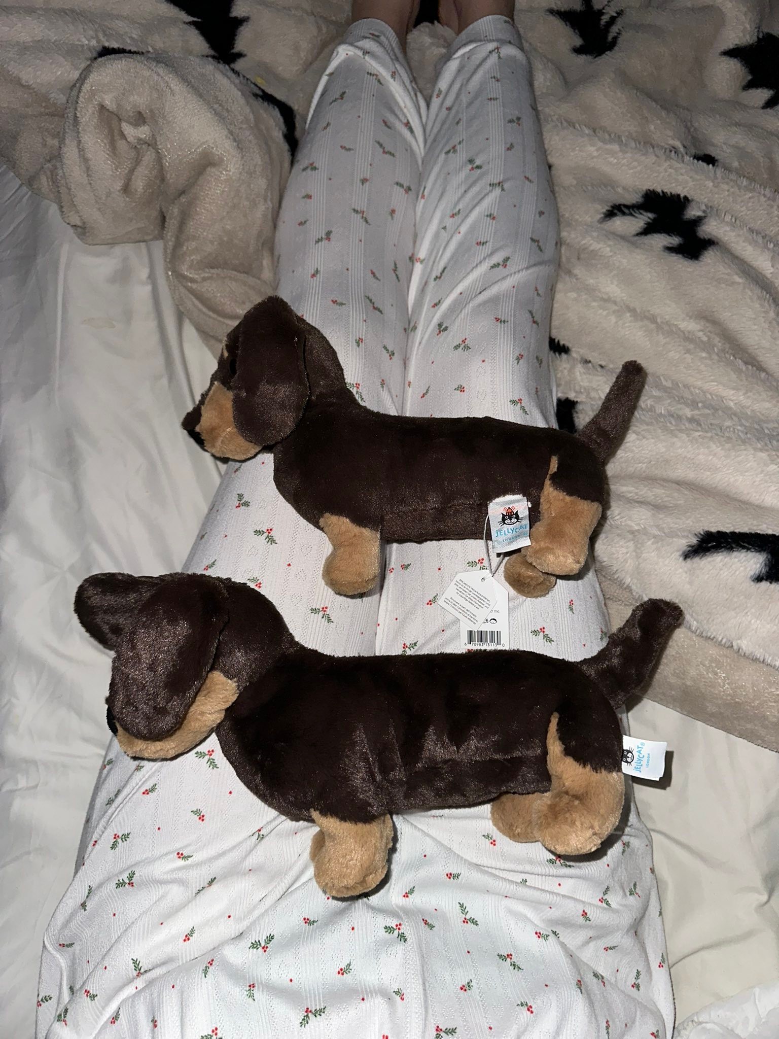 Hi can anyone advise if these Otto sausage dogs are real? They