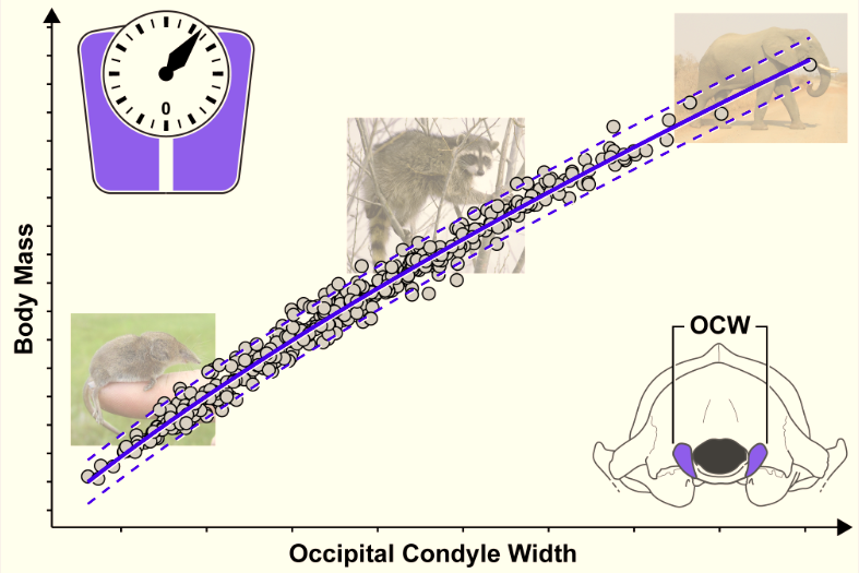 BMC Biology - New #research from Russell Engelman @cwru,...