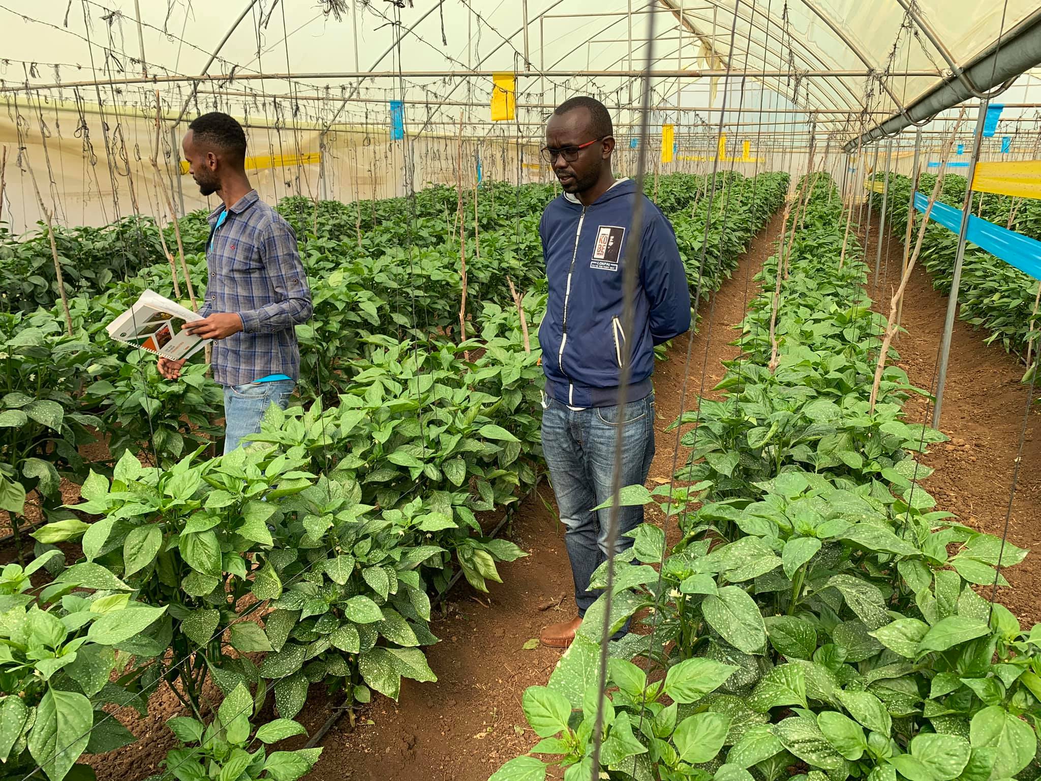 Mr. Agriculture - A visit to Rama Farm in Rumuruti,... | Facebook