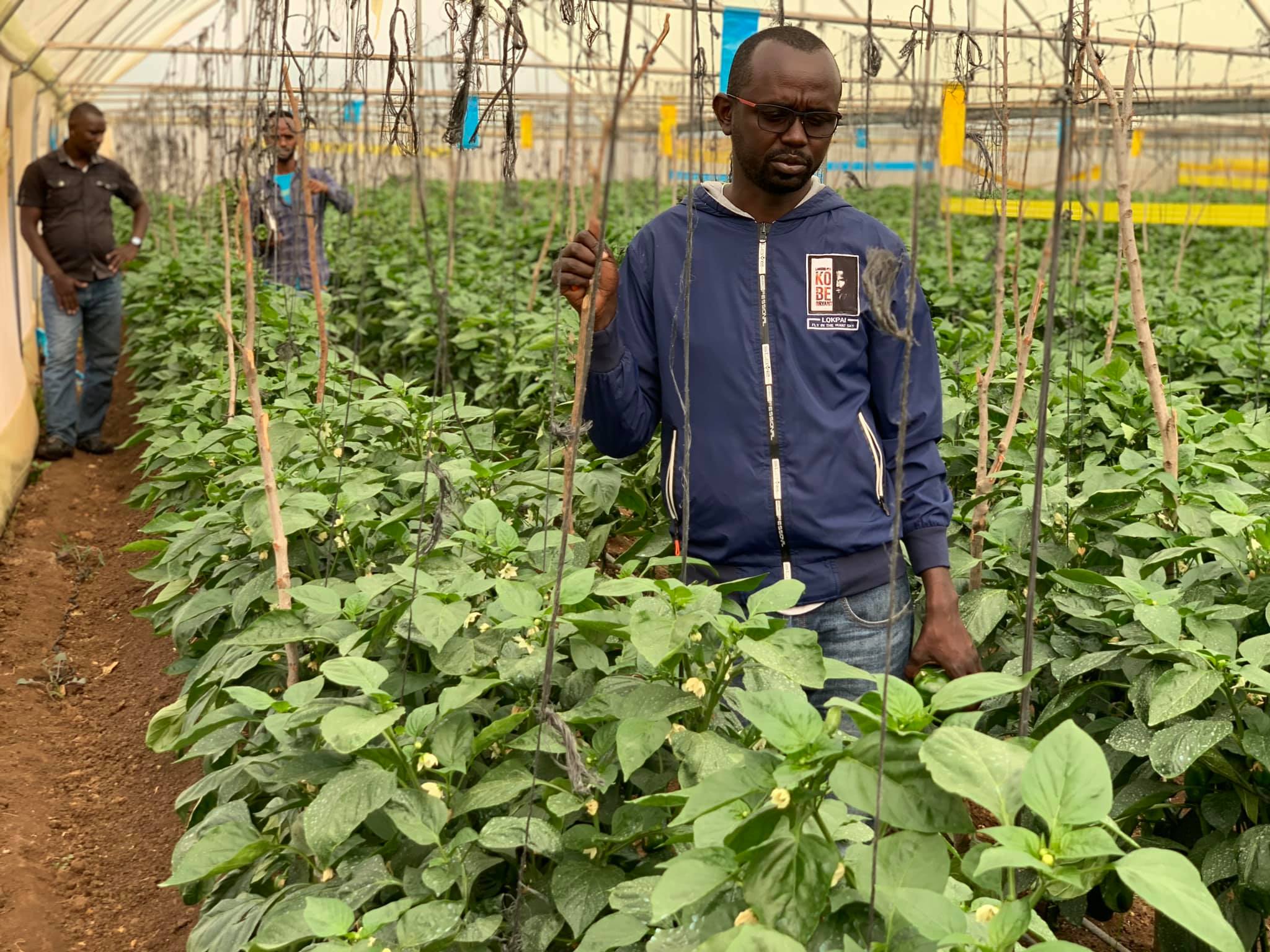 Mr. Agriculture - A visit to Rama Farm in Rumuruti,... | Facebook