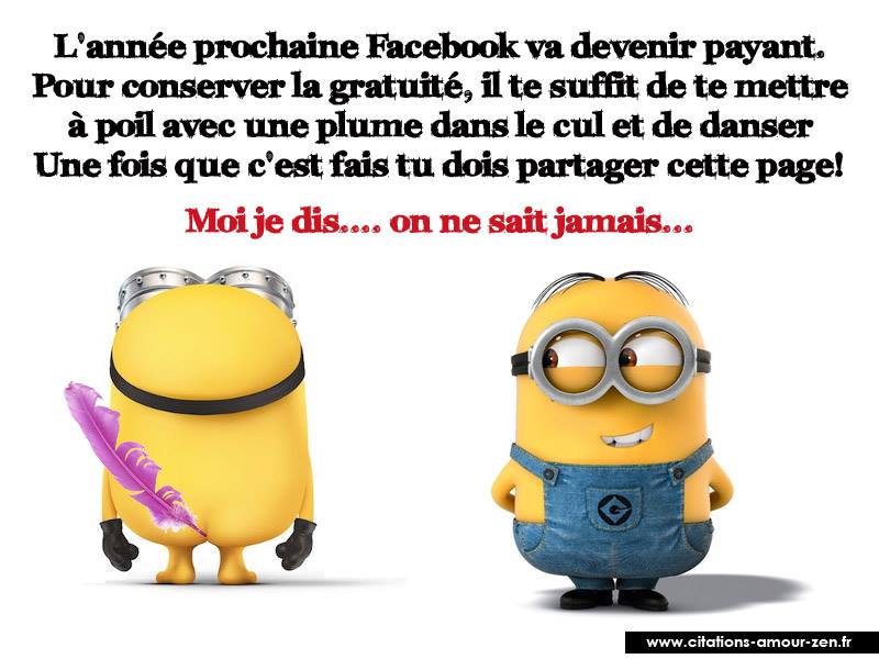 Citation Des Minions Humour Home Facebook