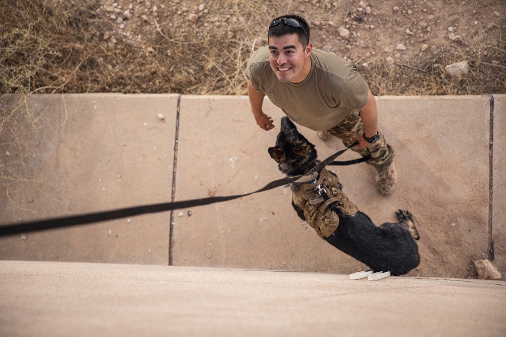 U.S. - U.S. Army Sgt. Michael Ramirez and military working dog (Jeck ...