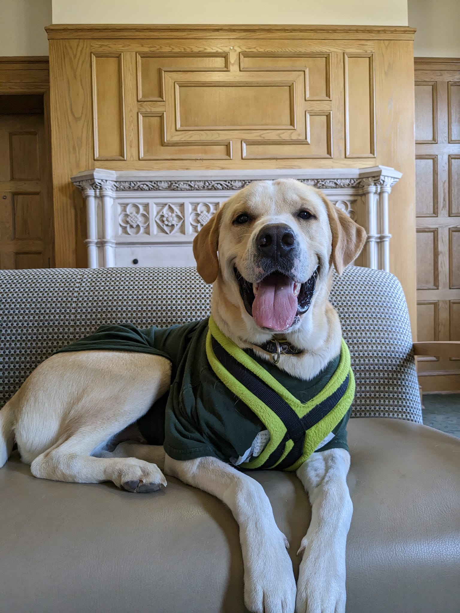 Cara's Animal Rescue Alliance | Facebook