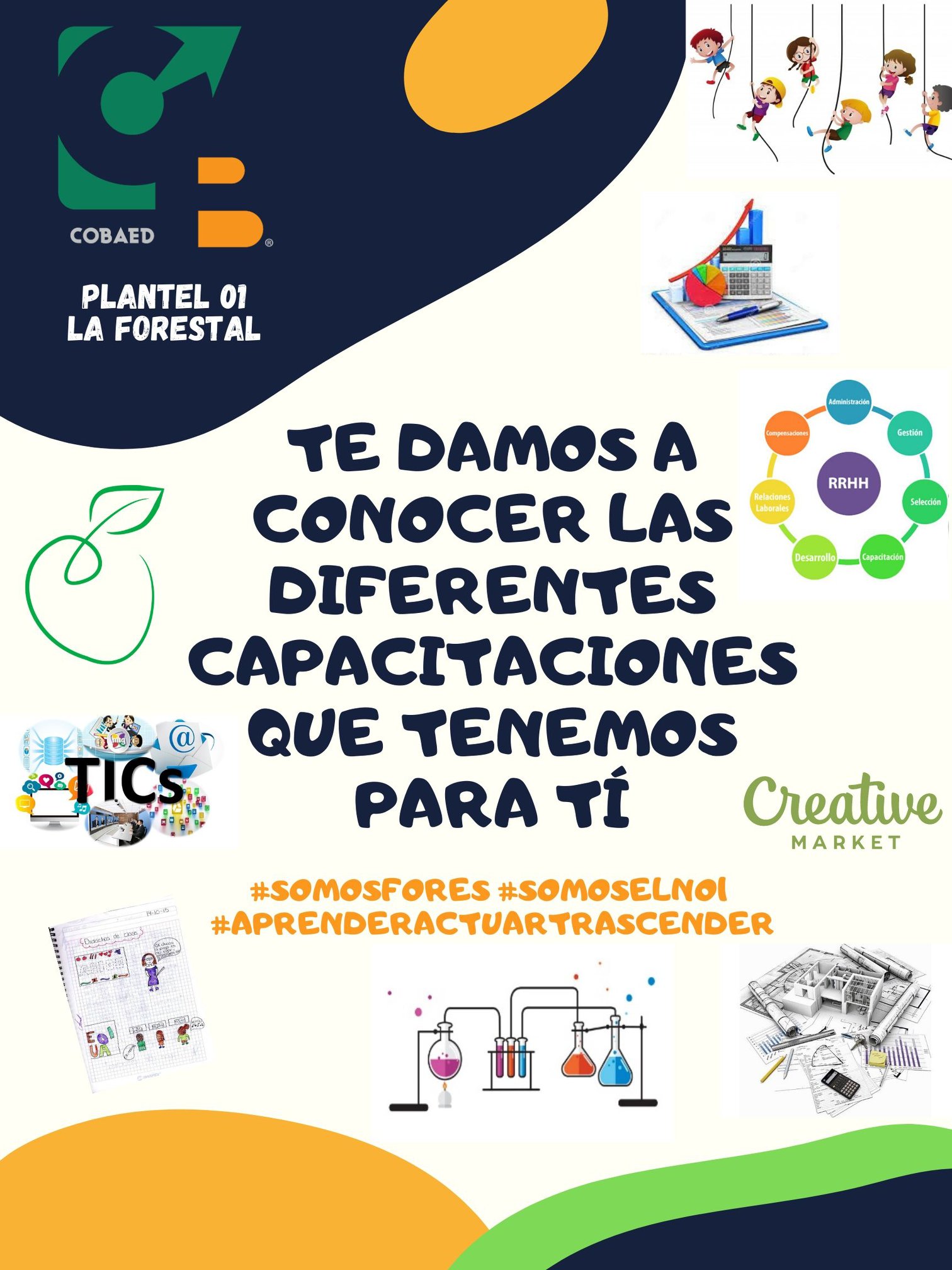 ¡Conoce las diferentes... - Cobaed 01 La Forestal | Facebook