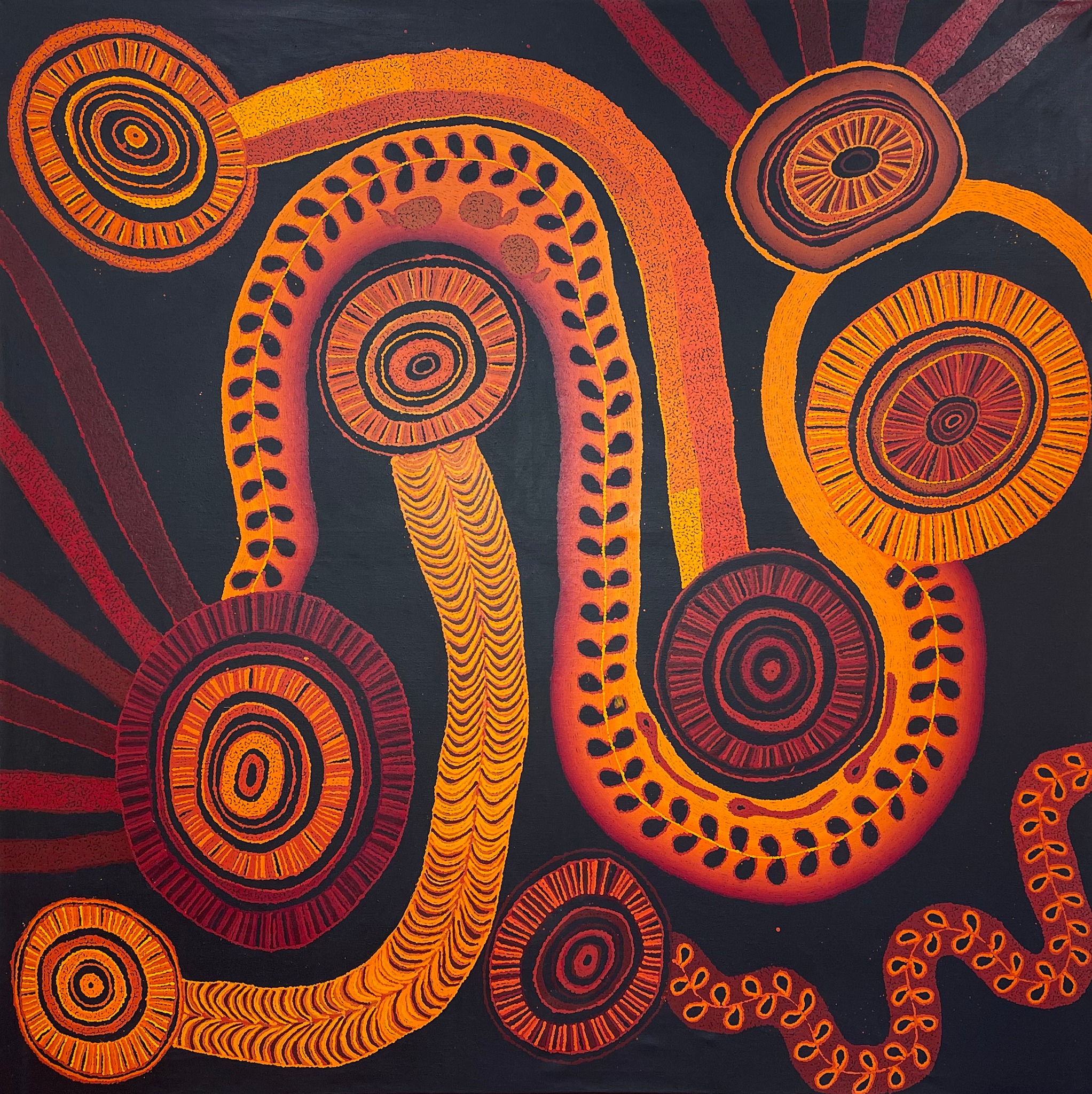 The bands of dots that sweep across Julie Nangala Robertson's