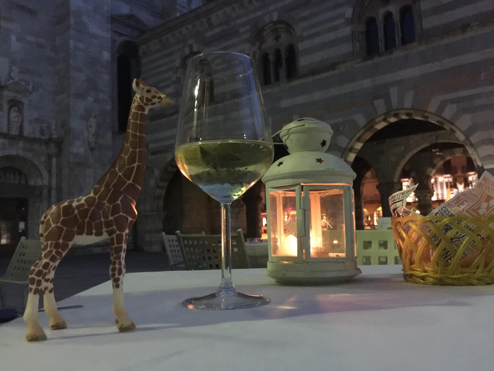 The Amazing Adventures of Mr Gee Raffe