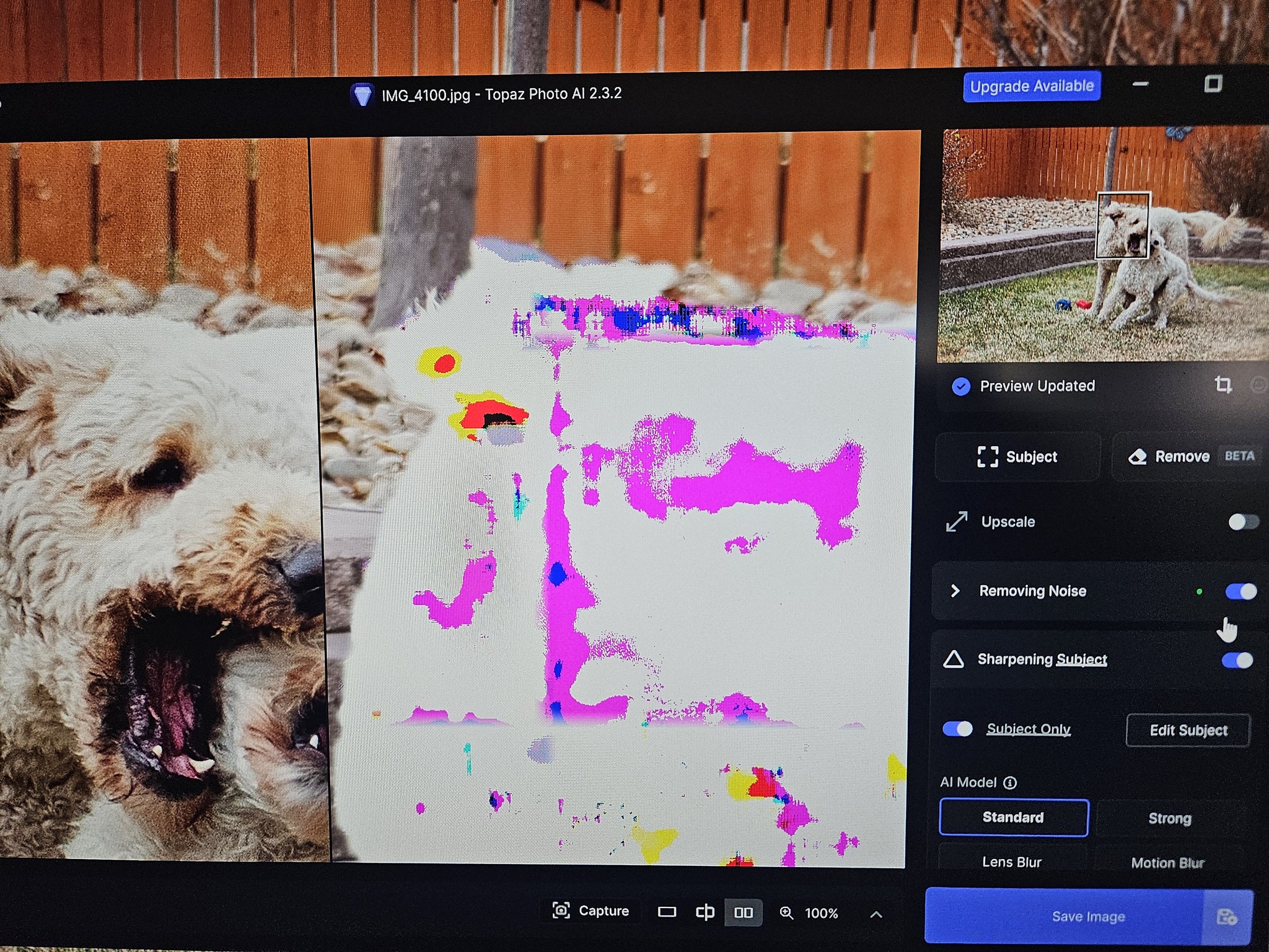 Topaz Labs Community | All of a sudden the sharpening tool in my Topaz ...