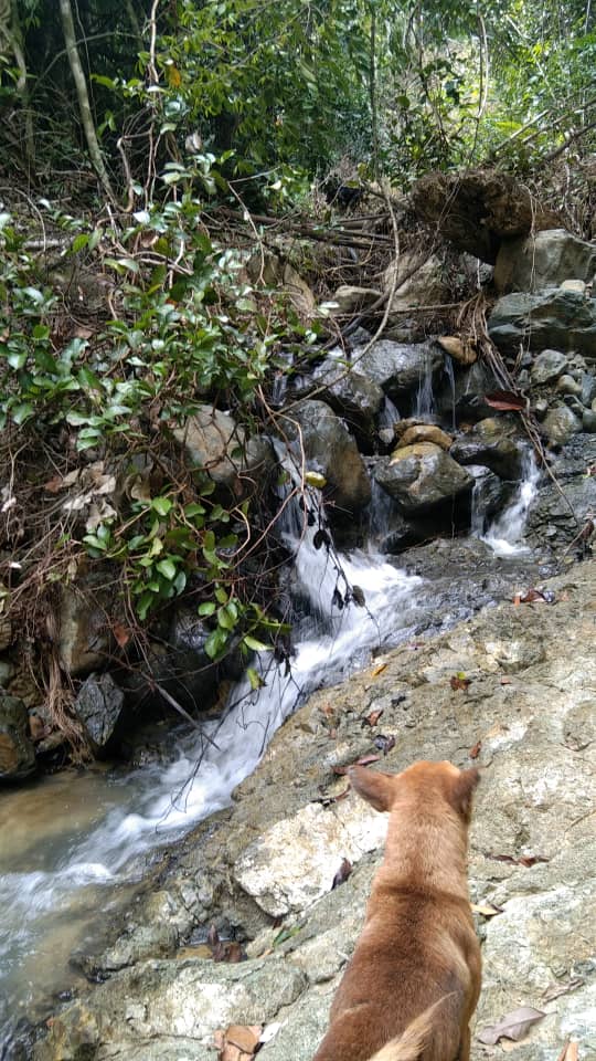 JKKK Kituntul Lama, Ranau Sabah Malaysia | Ranau