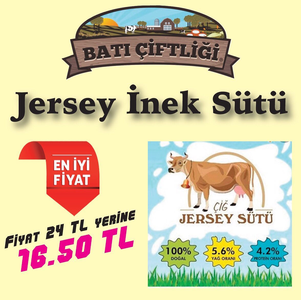 Eymen2 Alchol Shop - Süt kalitesi bakımından dünyanın en ünlü inek ...