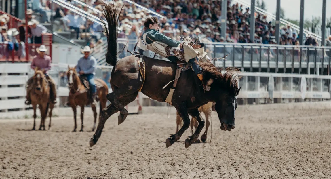 Wild Rogue Pro Rodeo 2026 | Central Point OR