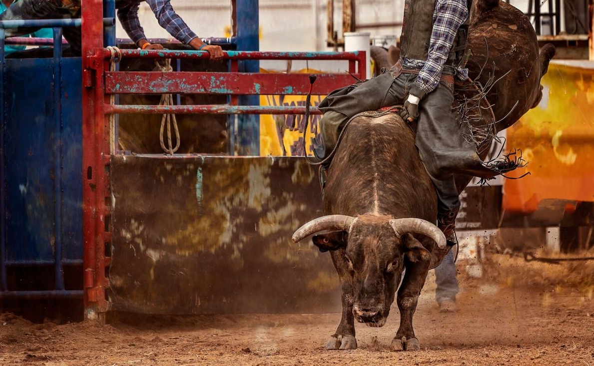 Wild Rogue Pro Rodeo 2026 | Central Point OR