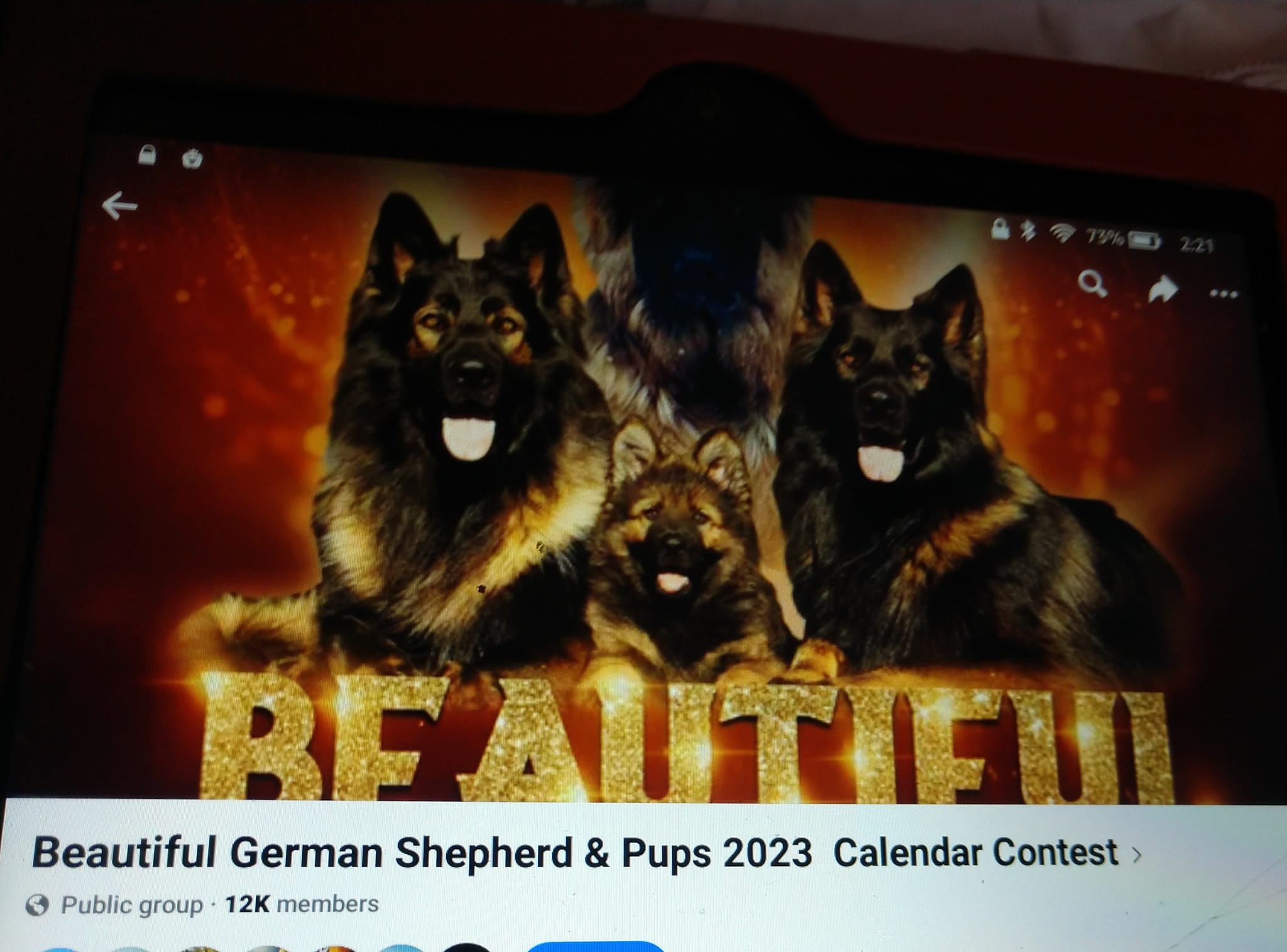 Beautiful German Shepherd & Pups 2026 Calendar Contest | Facebook