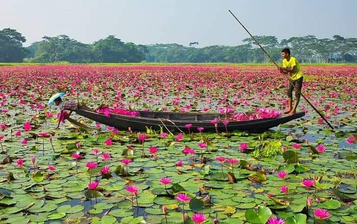 BEAUTY OF RUPGONJ | Facebook