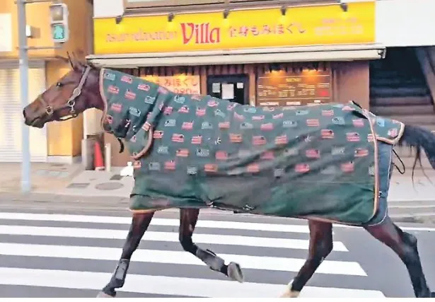 三馬子にも衣装 三馬子にも衣装 馬子にも衣装とはこれ如何に ニ新