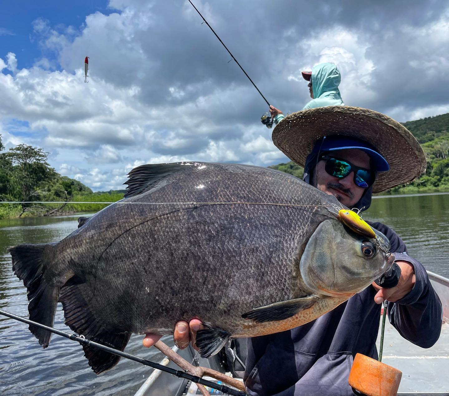 Fish Colombia - Monster Black Pacu of Mapiri Lodge. 🔥🔥🔥🔥🔥...