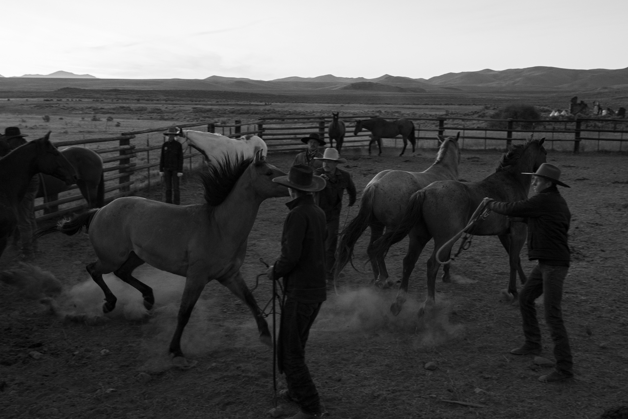 Rob - Among the many things I appreciate about the traditions and daily ...