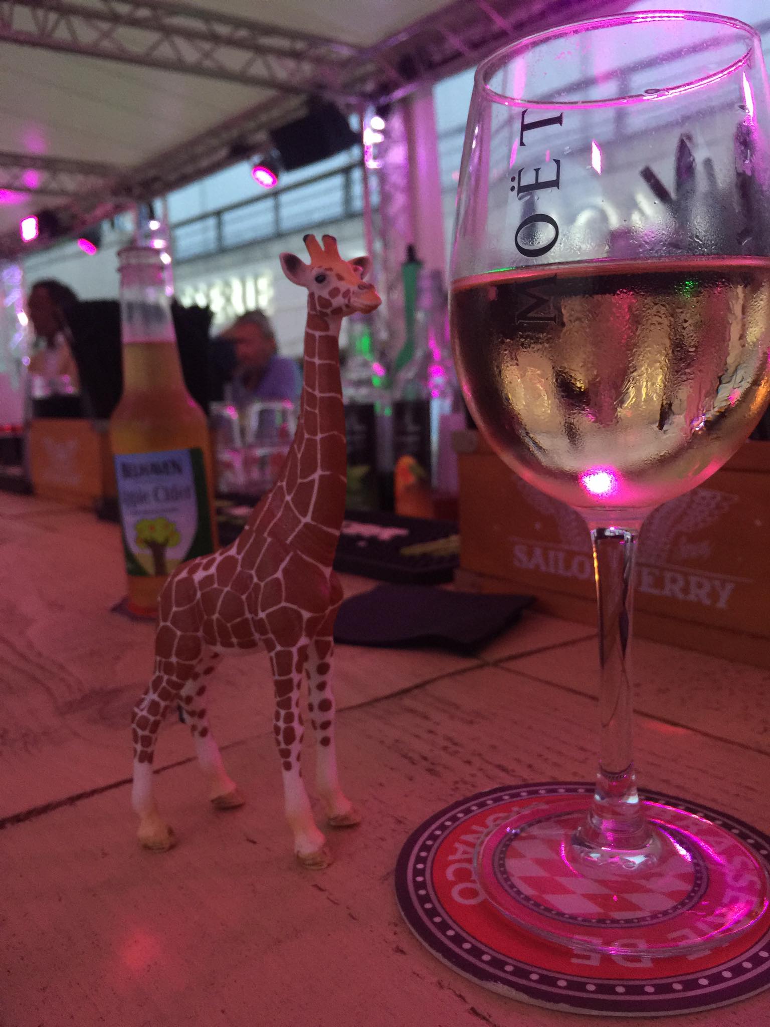 The Amazing Adventures of Mr Gee Raffe