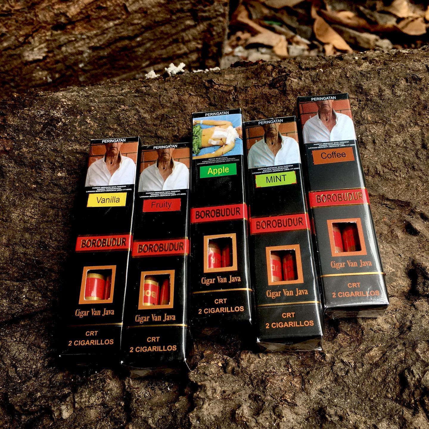 Aroma - Cerutu Borobudur Cigar Van Java Cerutu dari Taru Martani dengan ...