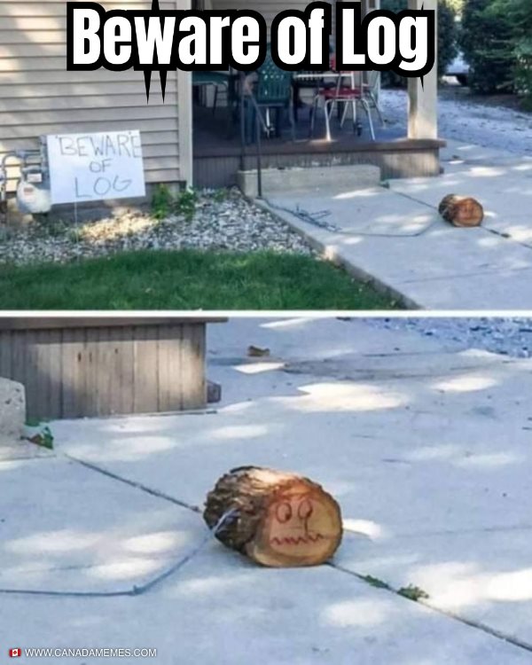 Funny Logger Memes