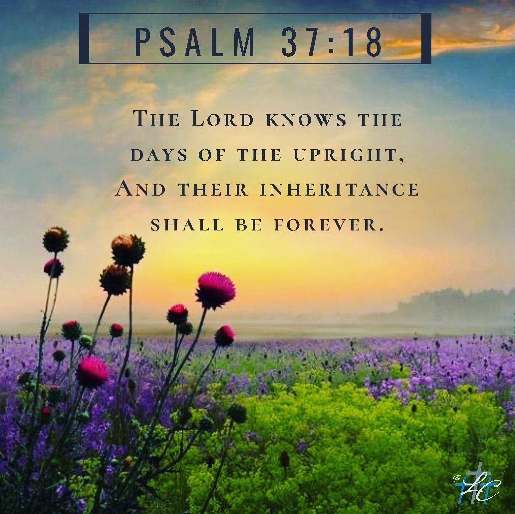 Life - Psalm 37:18-20 The Lord knows the days of the upright, And their ...