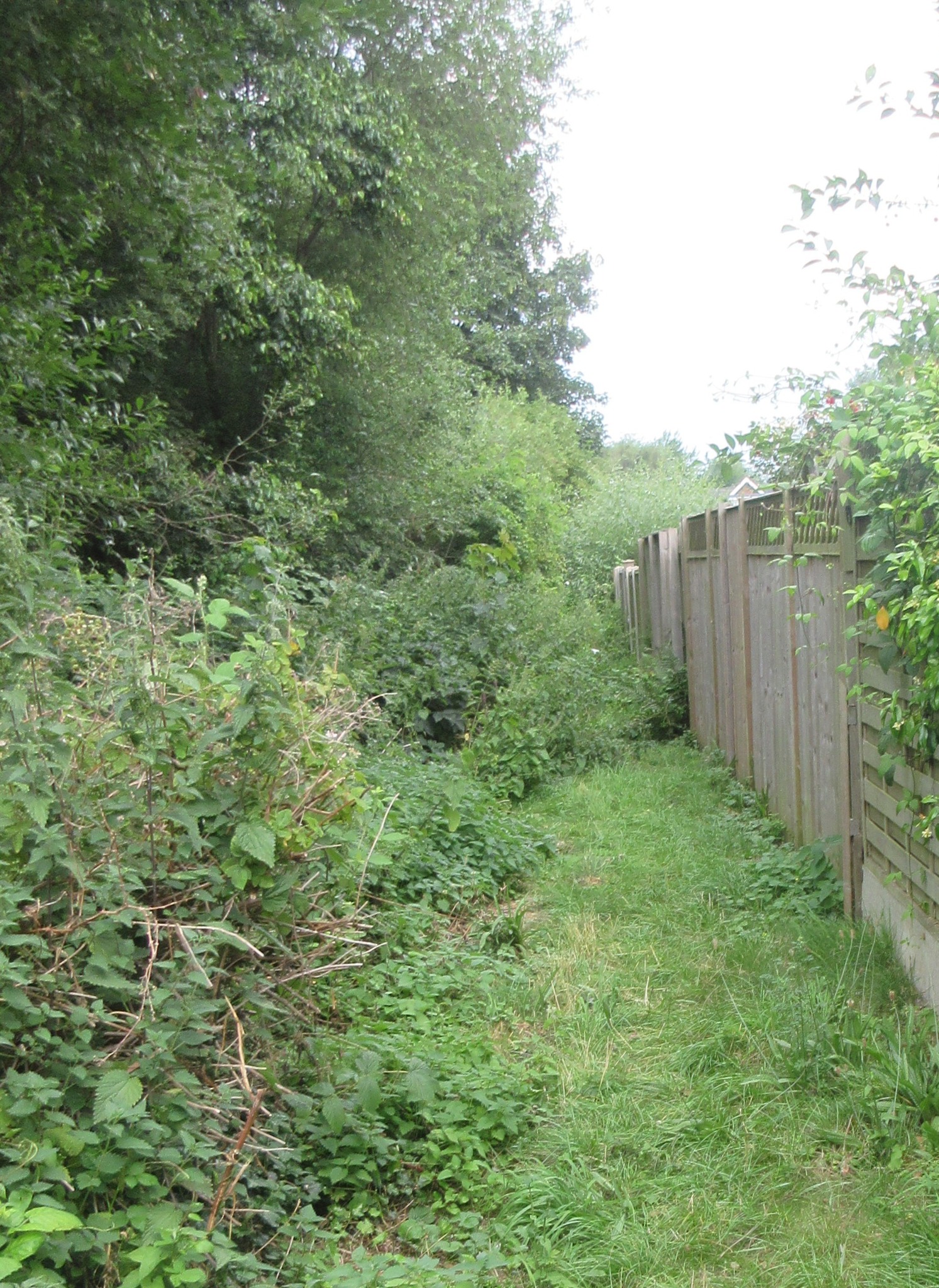 Mayfields Community Trust - You can see where the path was blocked here ...