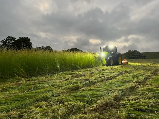 Farm Co. Slashing | Coolum Beach QLD