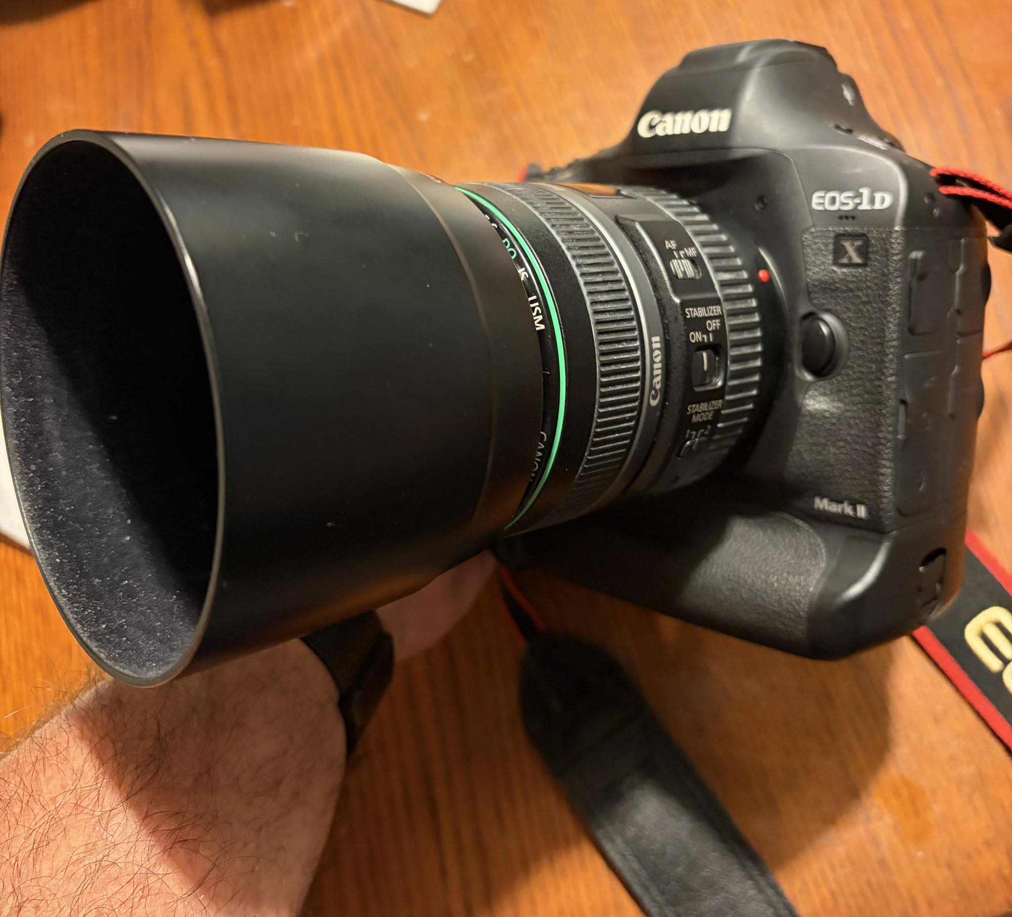 Canon EOS 6D Mark II Lens Canon Ef 75 -300 Beauty in two colors