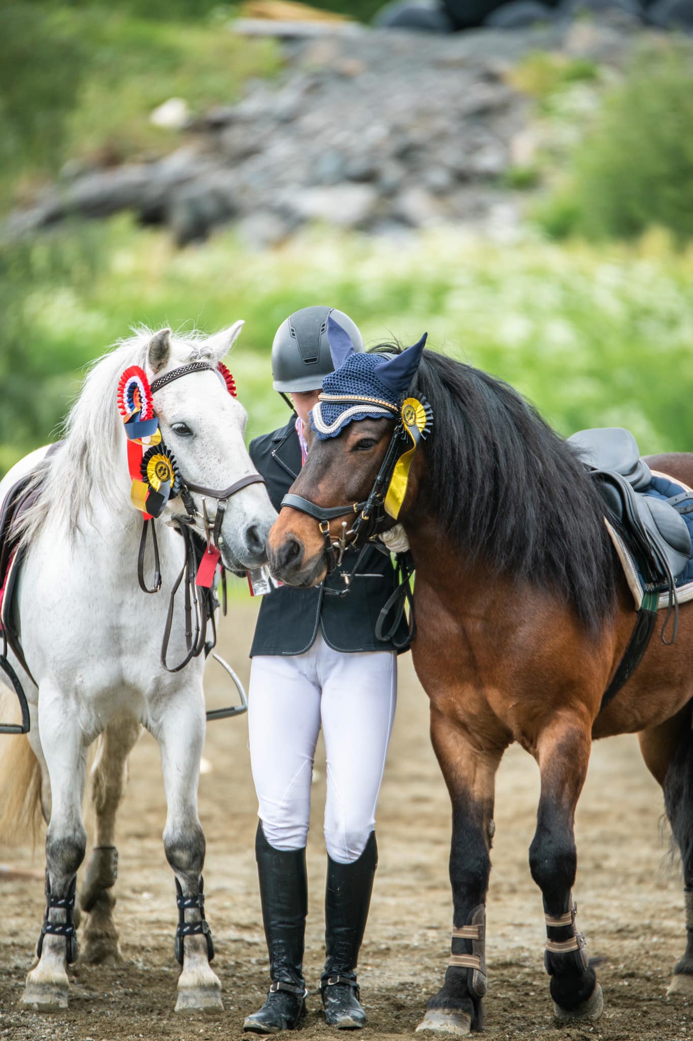 Muuksi... - Muuksi Tall - eesti hobune - estonian native horse