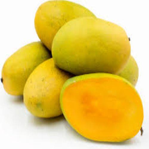 MangoPakistan | Muzaffargarh