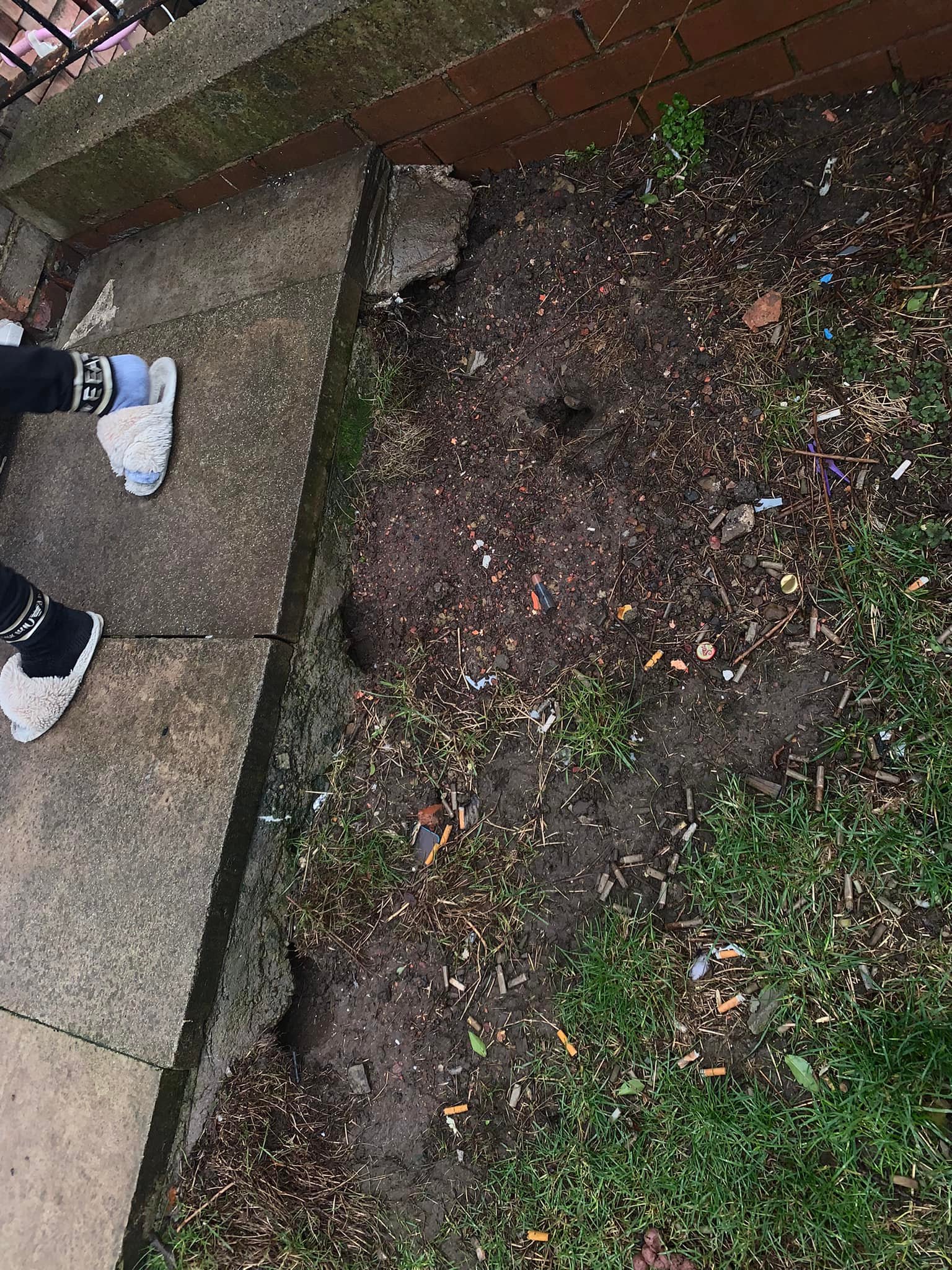 A new 3 part riddance program set... - VermiCure Pest Control | Facebook