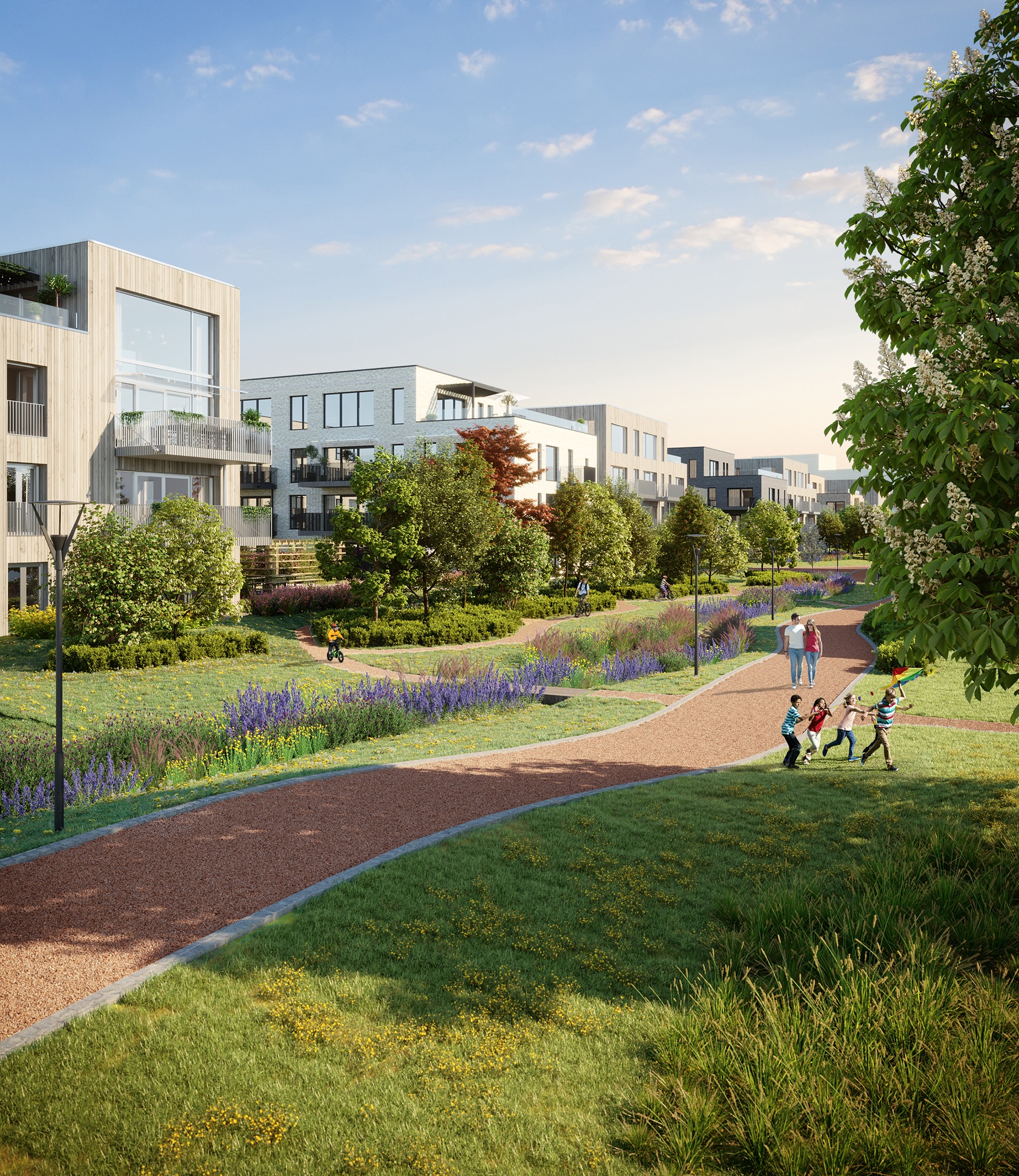 Proffen Hageby | Drammen