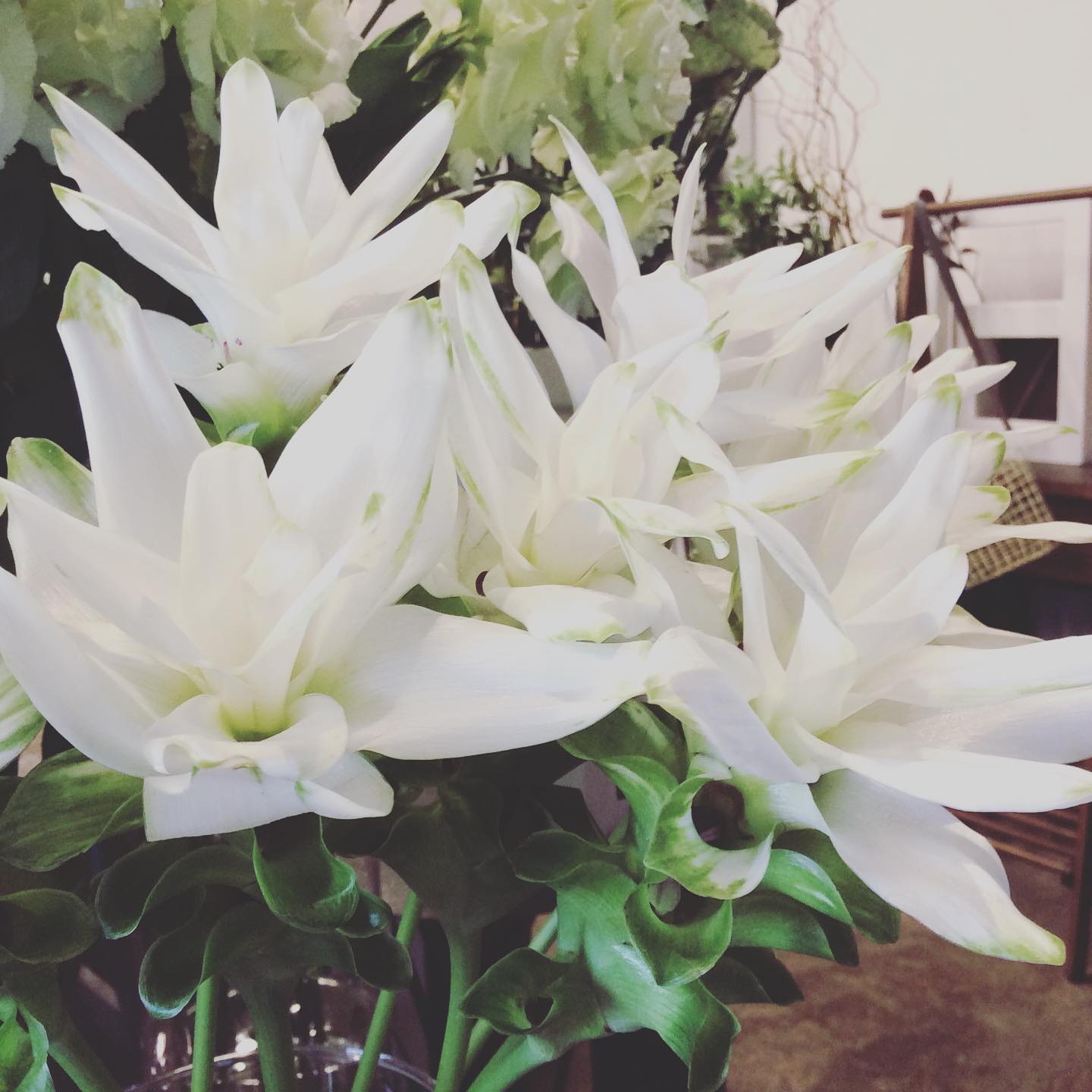 Flowershop 花しづか本店 Posts Facebook
