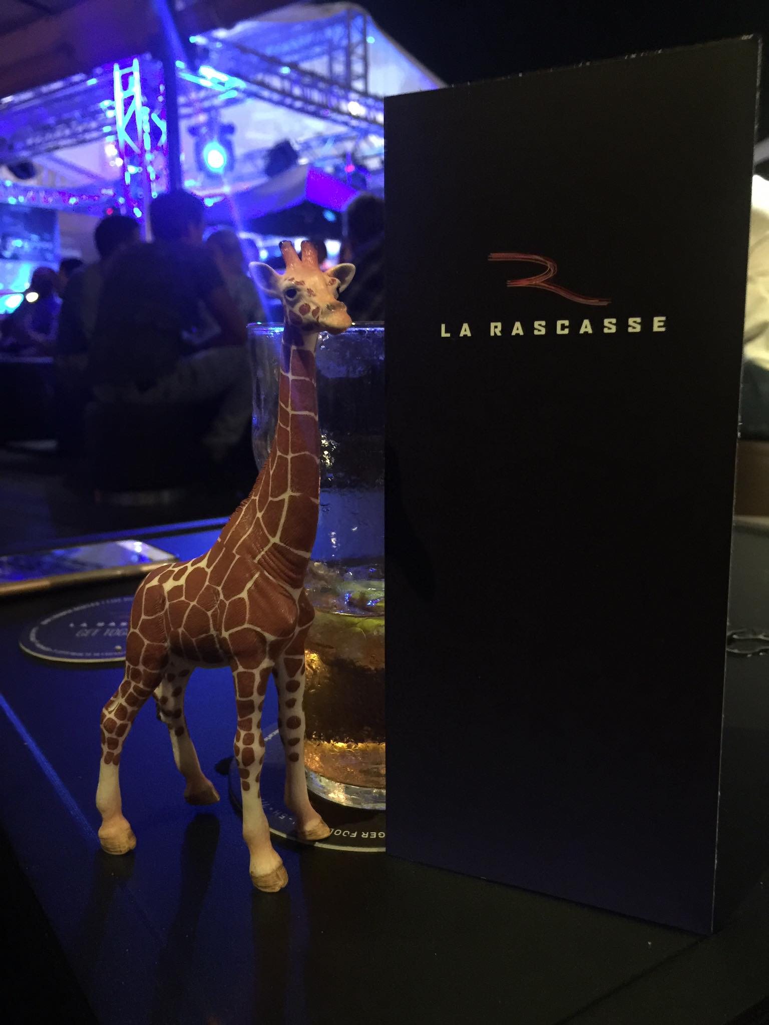 The Amazing Adventures of Mr Gee Raffe