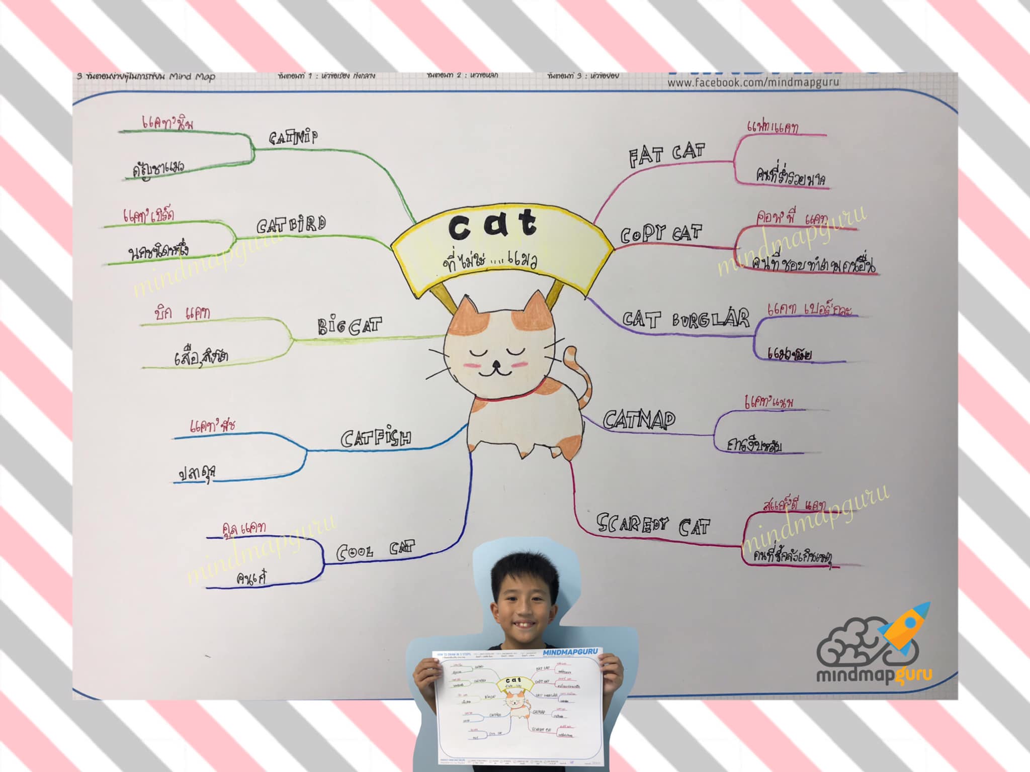 MindMap Guru - #Catที่ไม่ใช่แมว บางคำเราอาจจะรู้มาบ้างแล้ว... | Facebook