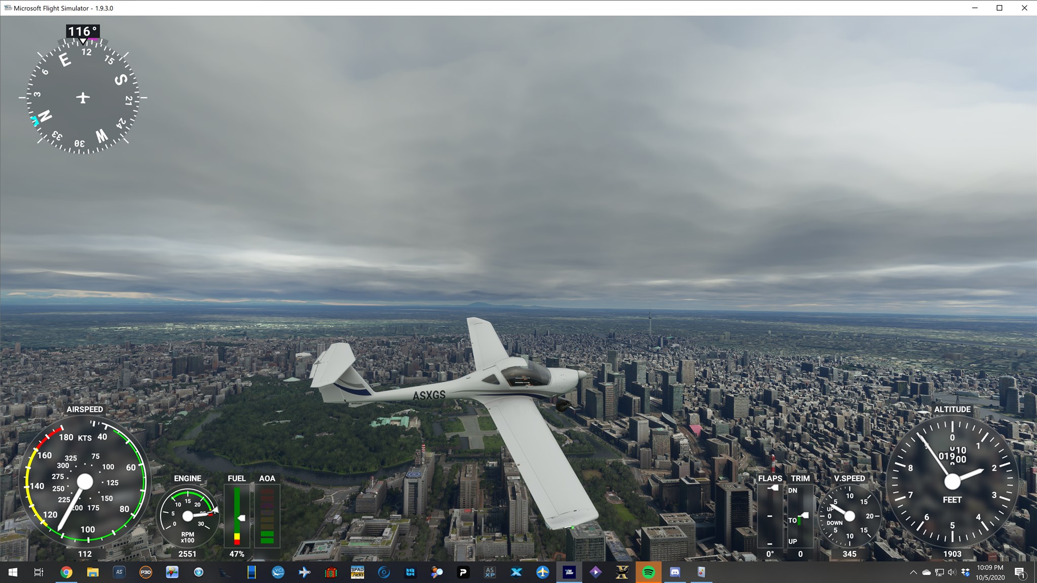 Flight Simulator Stream