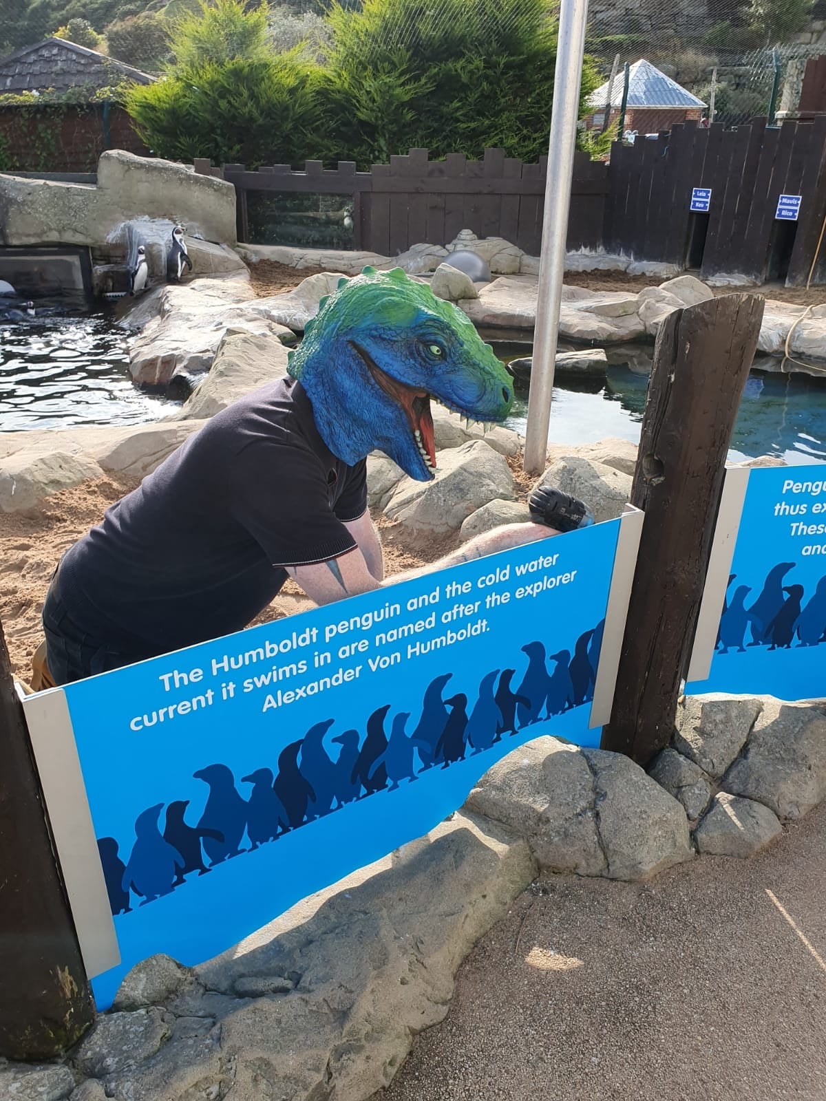 🔵 🦖 Blue Raptor out on site (maybe... - Blue Raptor Signs