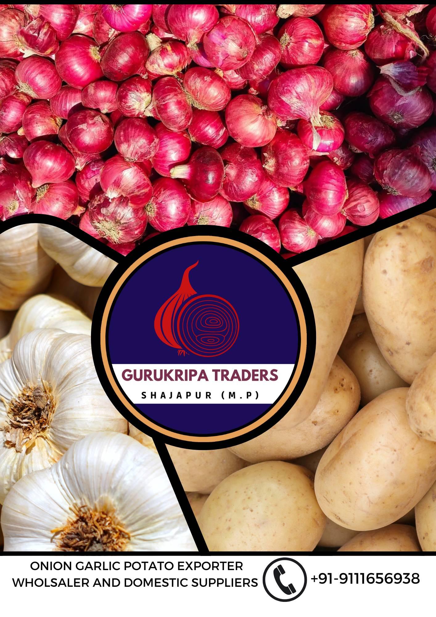 GURUKRIPA TRADERS SHAJAPUR (M.P) | Facebook