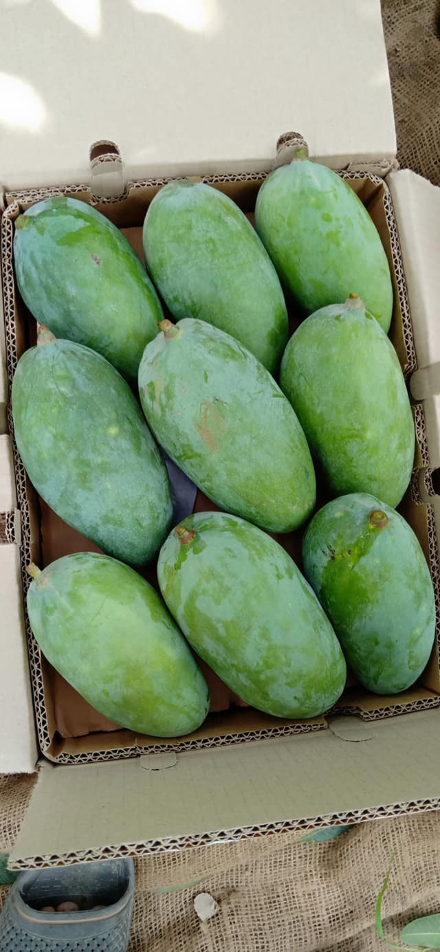MangoPakistan | Muzaffargarh
