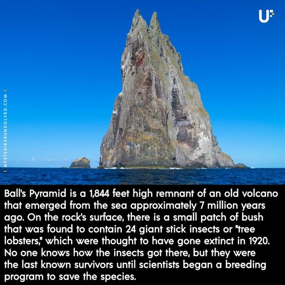 Ball's Pyramid is a 1,844 feet high... - Ancient knowledge