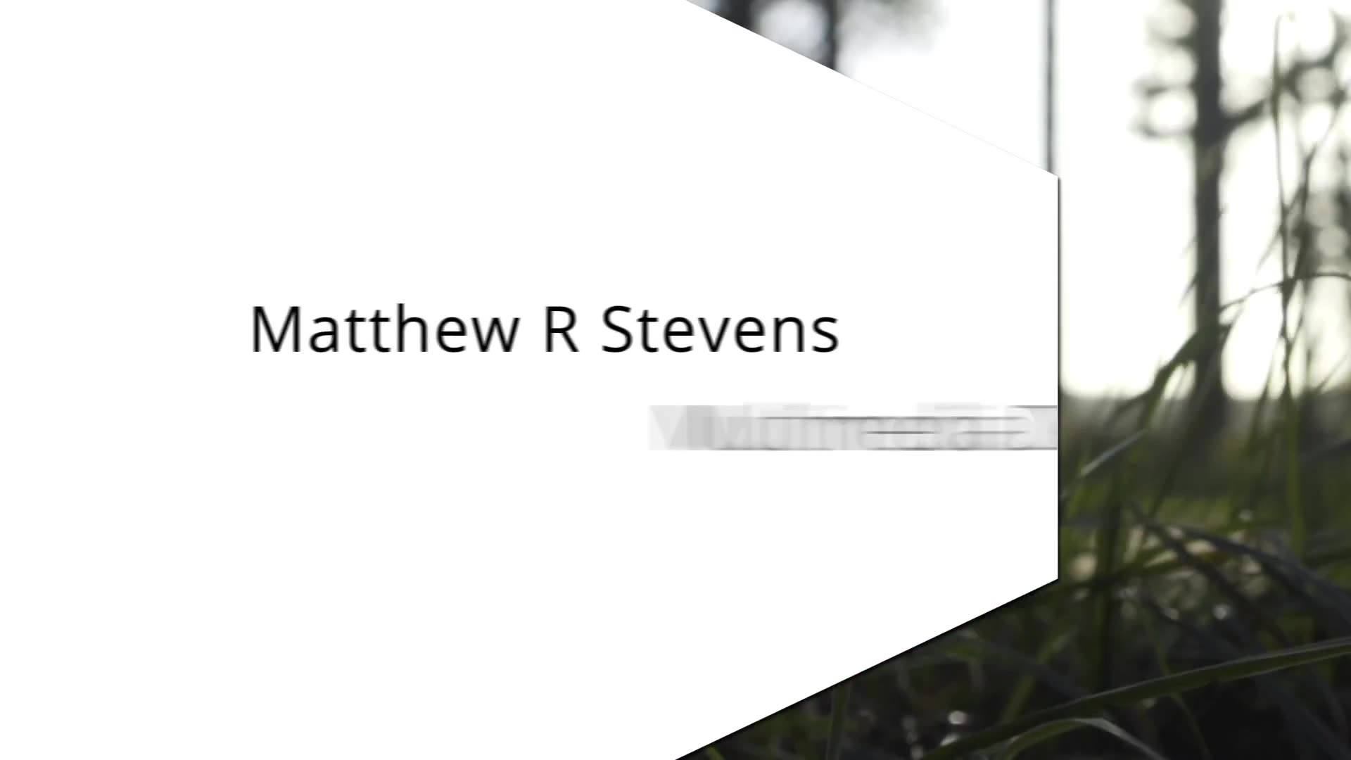 Matthew R Stevens
