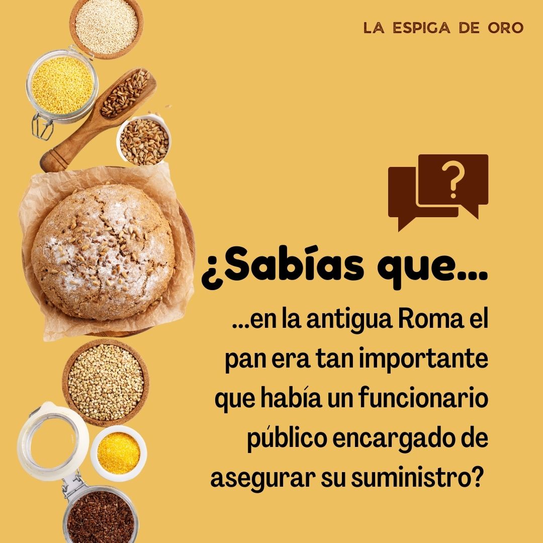 La - ¿Sabías que en la antigua Roma el pan era tan importante que había ...