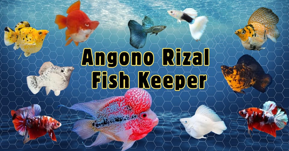 angono rizal fish keepers 🐟 | Facebook