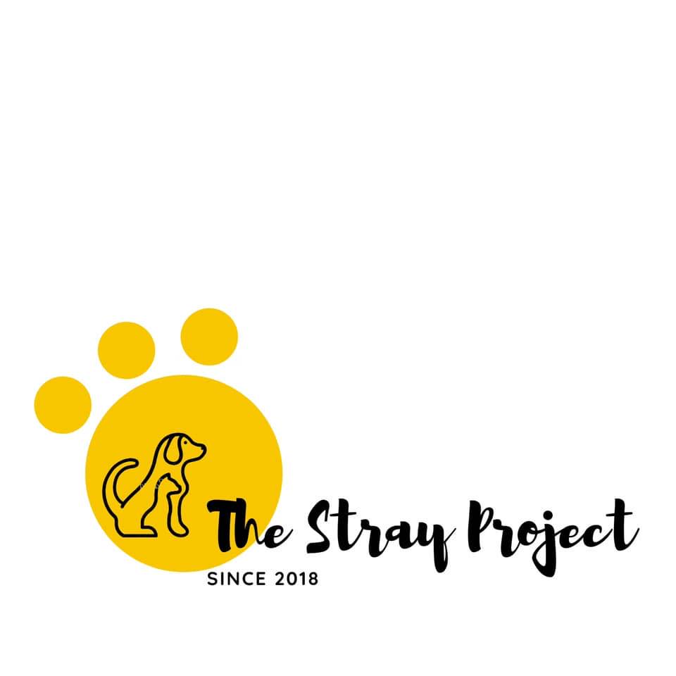 The Stray Project | Facebook