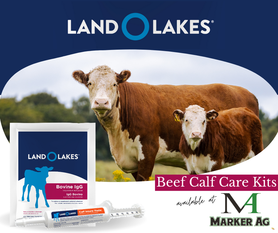 Marker - We have emergency Beef Calf Care kits, including, Insure ...