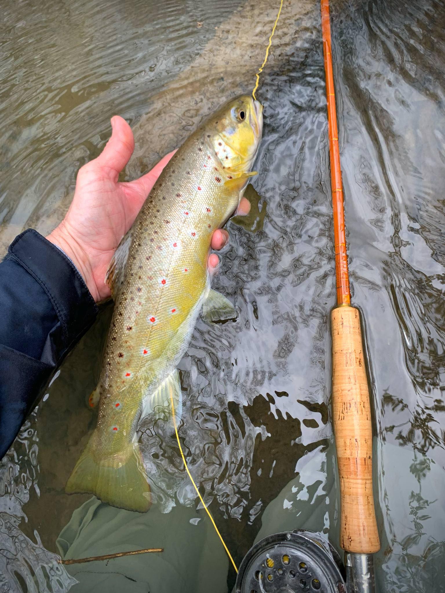 abercrombie fitch fly fishing 1970 net 
