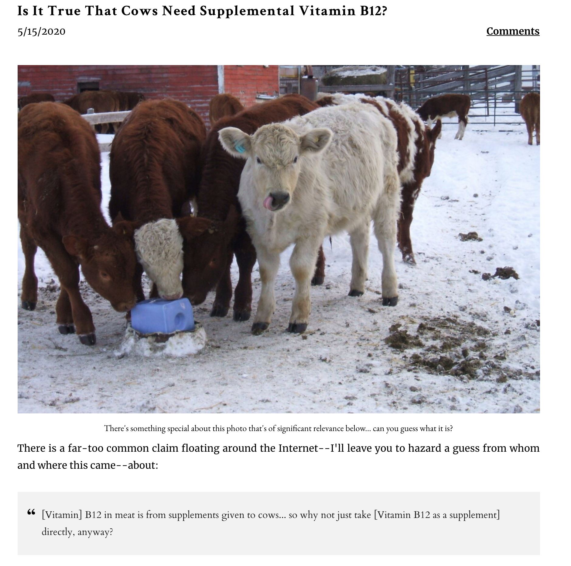 do cows get b12 injections Vit b question How often can vit b be admin to calf and elderly cow? DocVilla - Common ICD cat vitamin supplement Size:1000 mcg/ml - 30 ml (Pack of 2)
