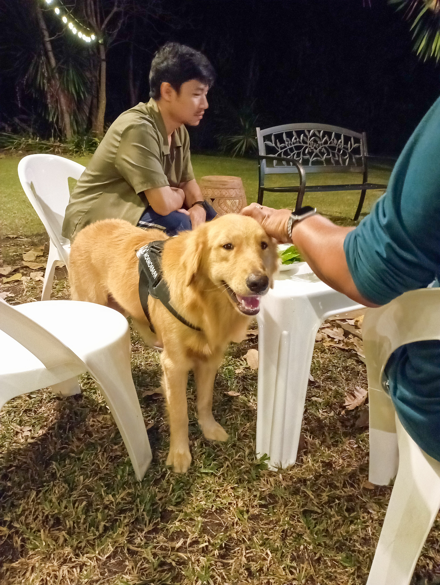 ลูกค้าน่าร๊าก🐶🦮🏕️🏡 - Take View Khaoyai House | Facebook